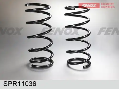 Пружина подвески FENOX SPR11036