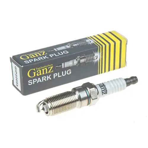 GIP22055 GANZ GANZ