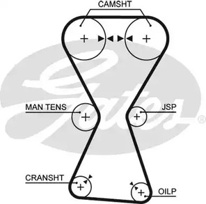 5255XS GATES Ремень ГРМ