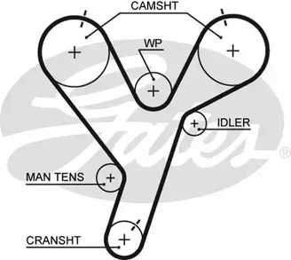 5446XS GATES Ремень ГРМ