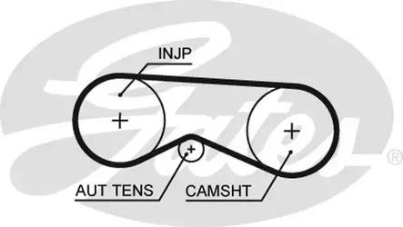 5531XS GATES Зубчатый ремень