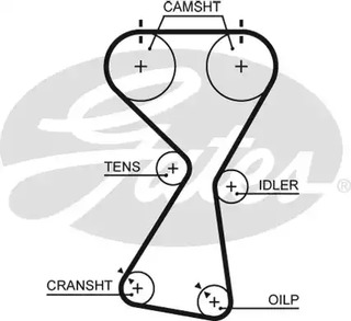 5534XS GATES Ремень ГРМ