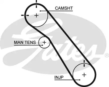 5548XS GATES Ремень ГРМ