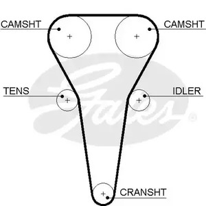 5567XS GATES Зубчатый ремень