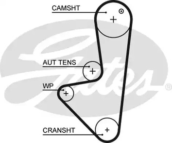 5574XS GATES Ремень ГРМ