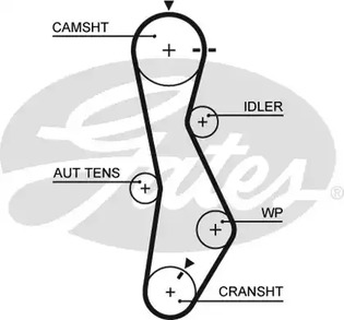 5579XS GATES Зубчатый ремень