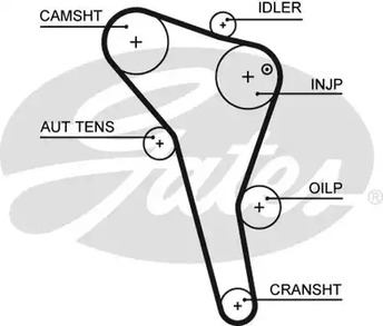 5622XS GATES Зубчатый ремень