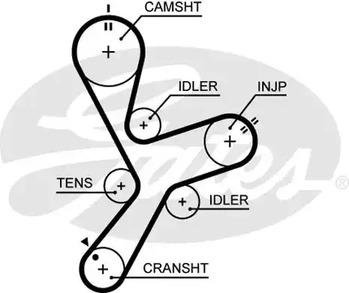 5641XS GATES Ремень ГРМ