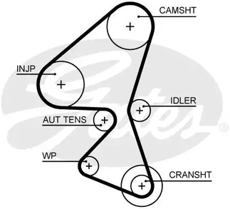 5656XS GATES Ремень ГРМ