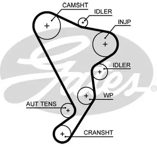 5661XS GATES Ремень ГРМ