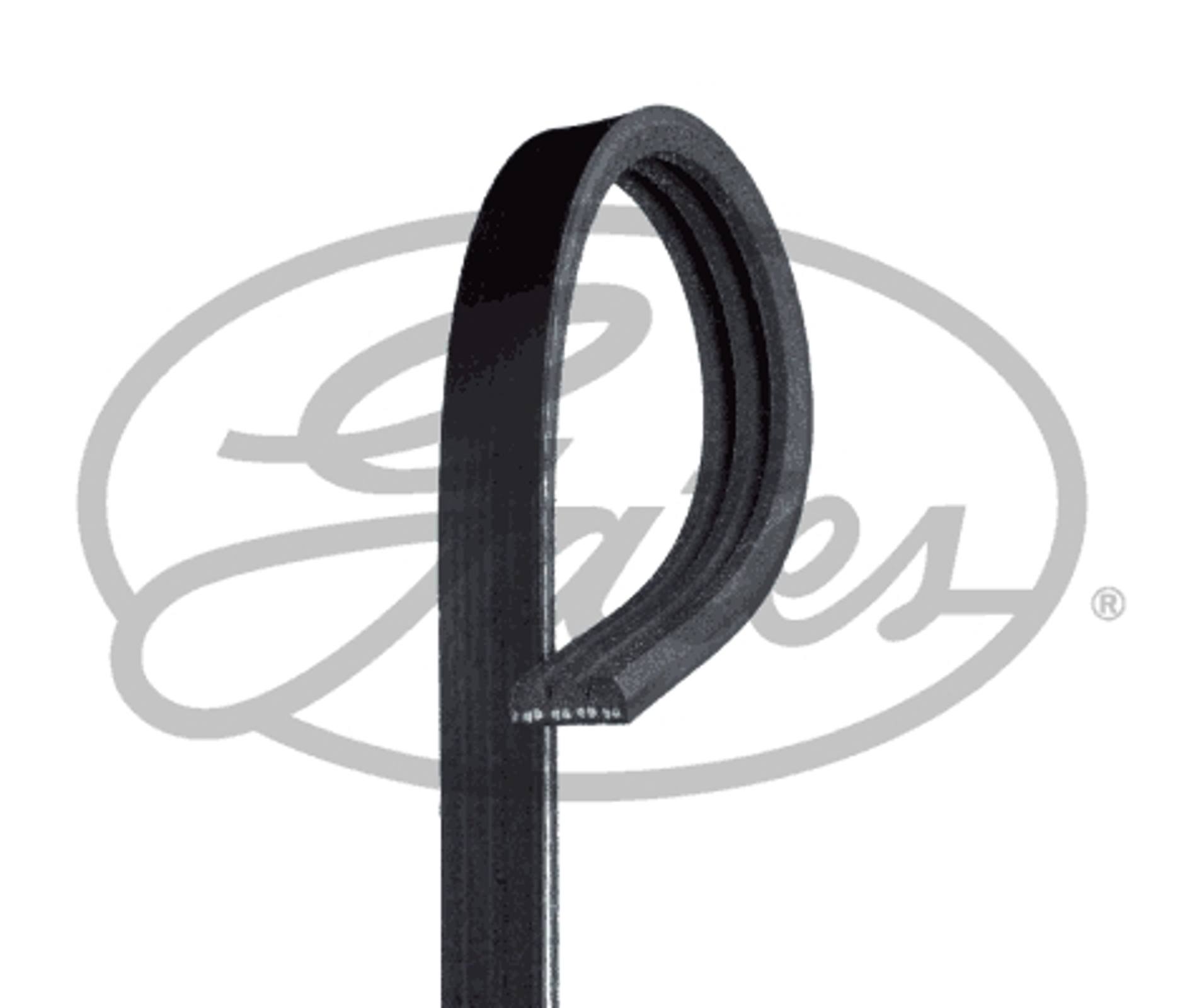 (8653-10721) ремень ручейковый gates GATES 3PK872SF