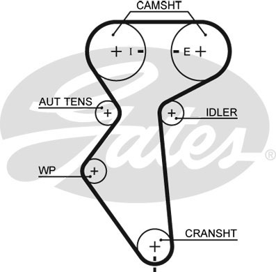 5419XS GATES Ремень ГРМ