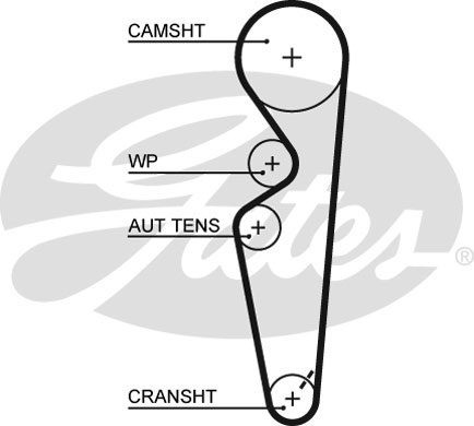 Ремень ГРМ GATES 5431XS