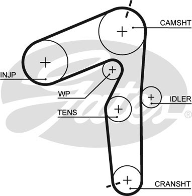 5500XS GATES Ремень ГРМ