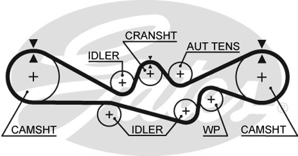5537XS GATES Ремень ГРМ