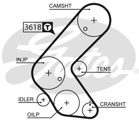 5563XS GATES Ремень ГРМ