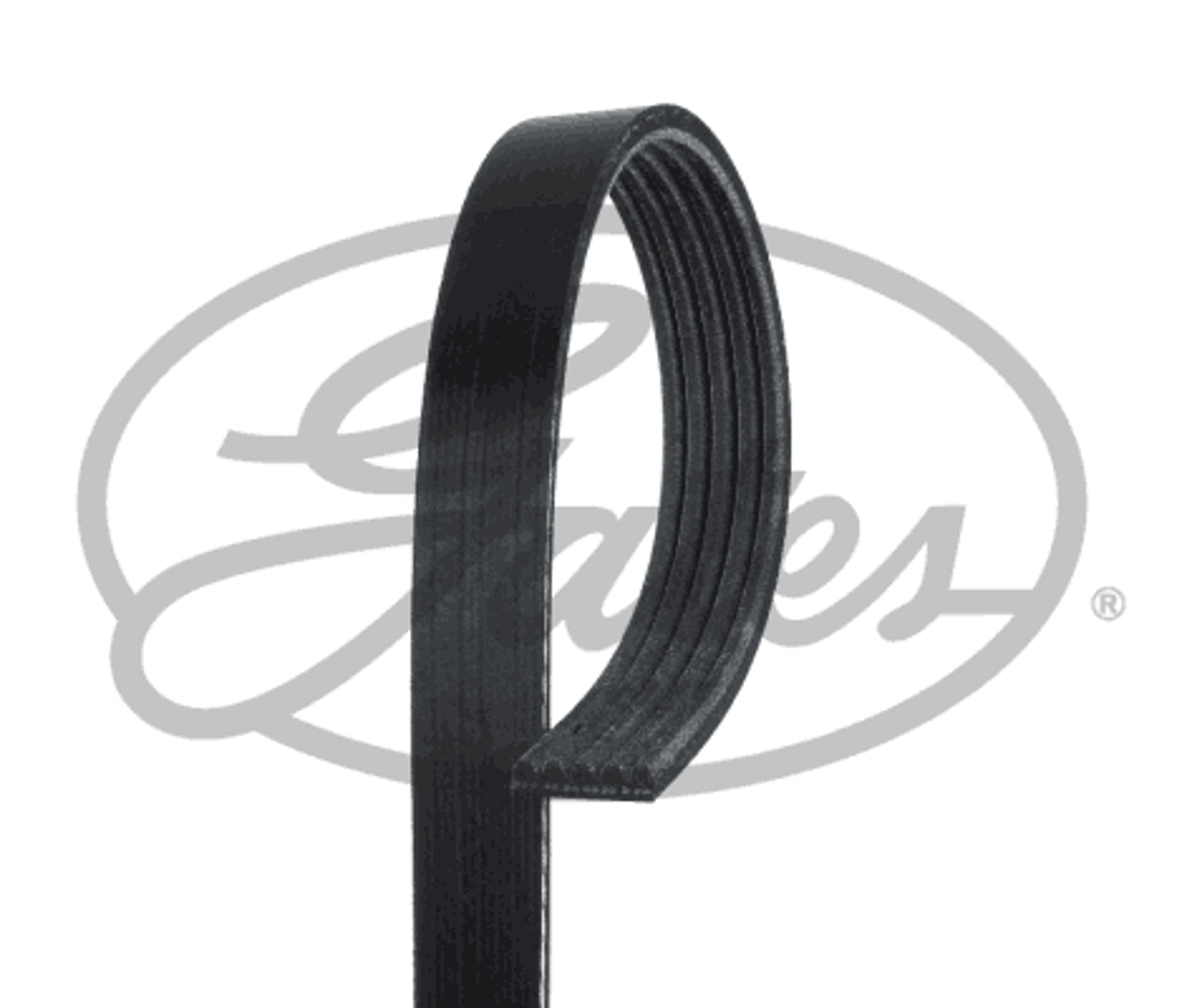 Ремень поликлиновой GATES 5PK788