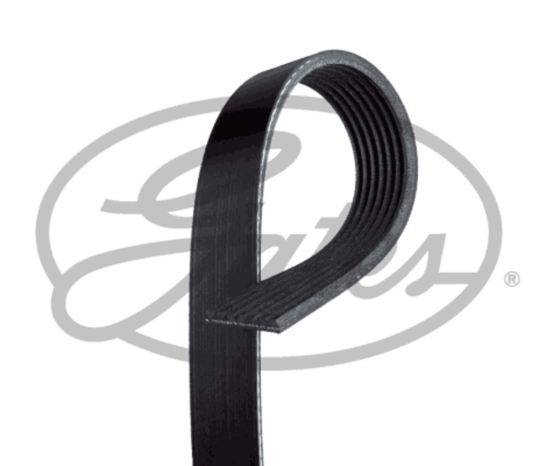 (8653-10875) ремень ручейковый gates GATES 7PK810