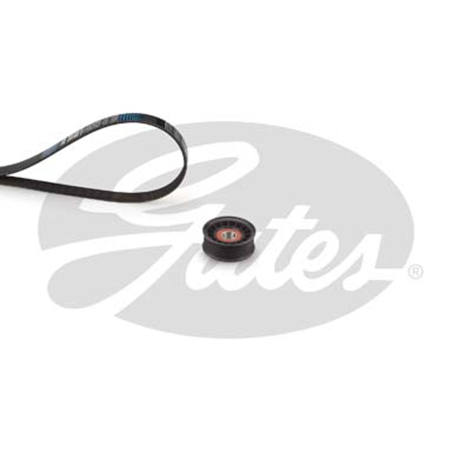 Комплект поликлинового ремня ford focus iii GATES K016PK1019SF