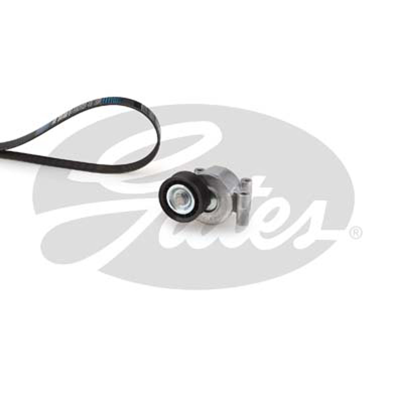 Комплект поликлинового ремня ford focus ii GATES K026PK1305