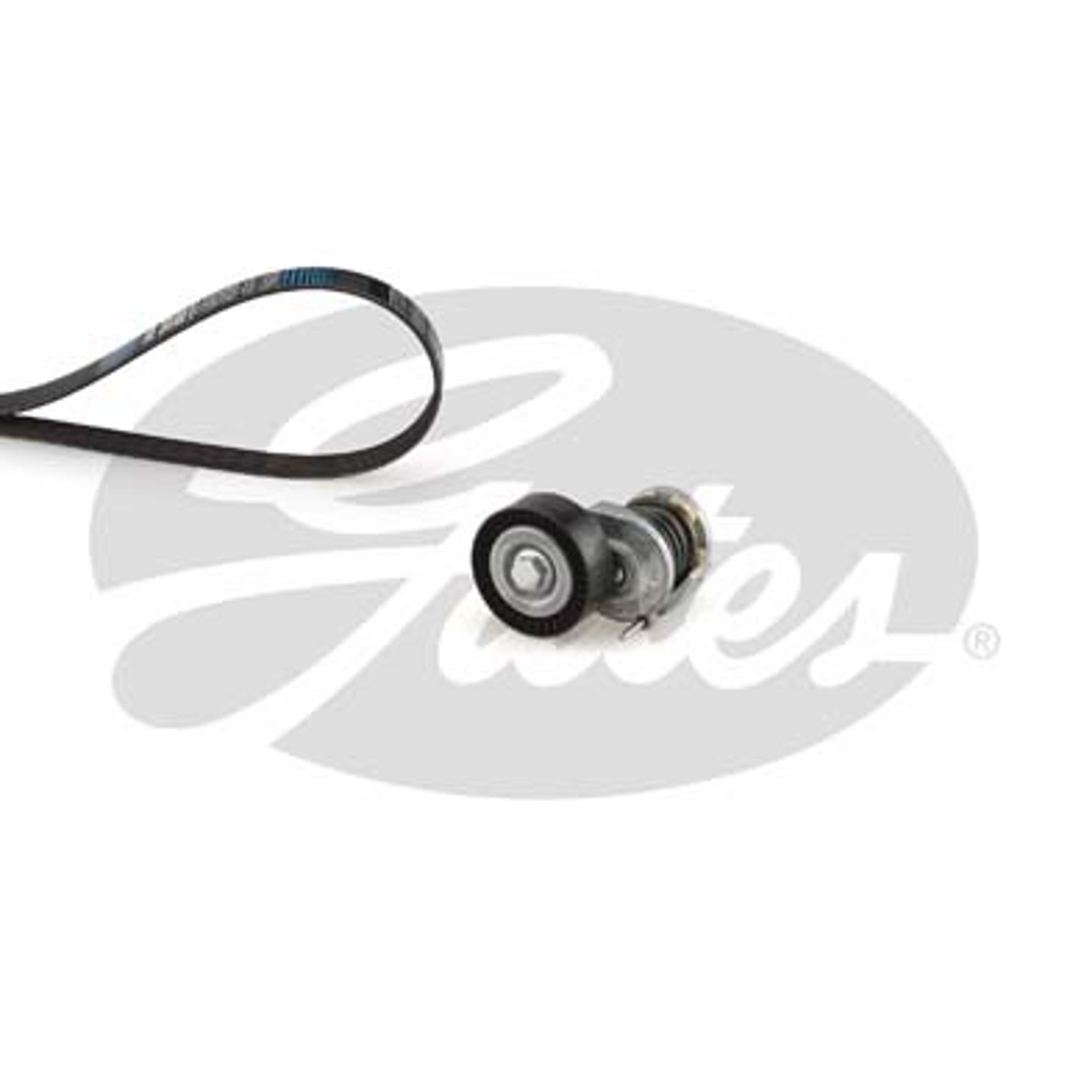 Комплект поликлинового ремня skoda fabia i GATES K036PK1098