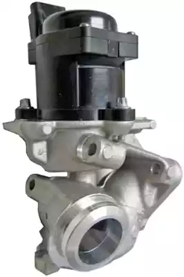 Клапан egr HELLA/BEHR/PAGID 6NU010171-101