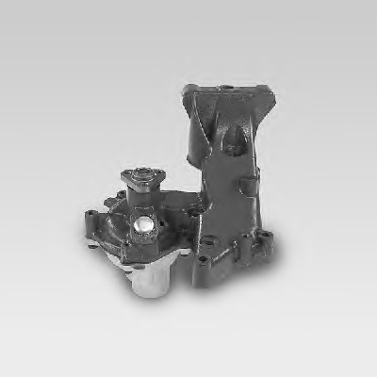 Насос водяной HEPU P1020