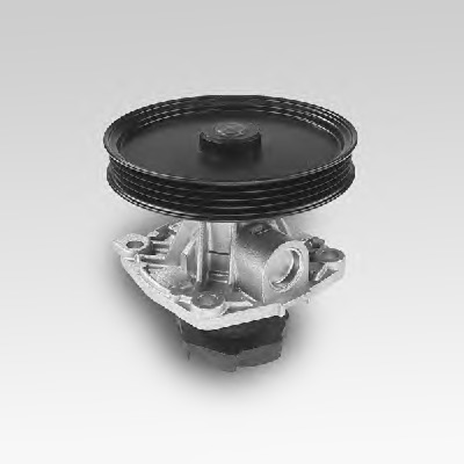 Насос водяной HEPU P125