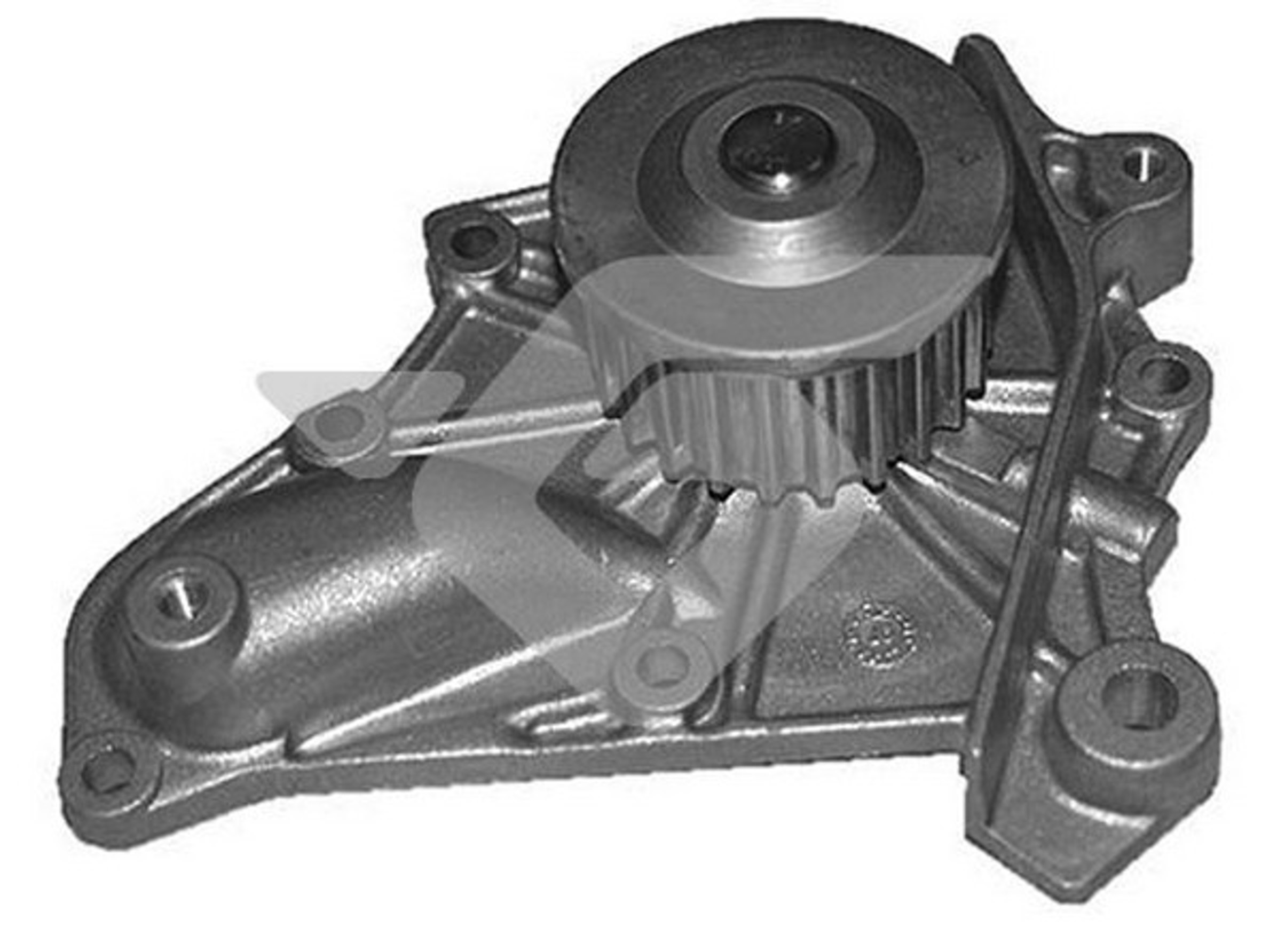  HUTCHINSON WP195