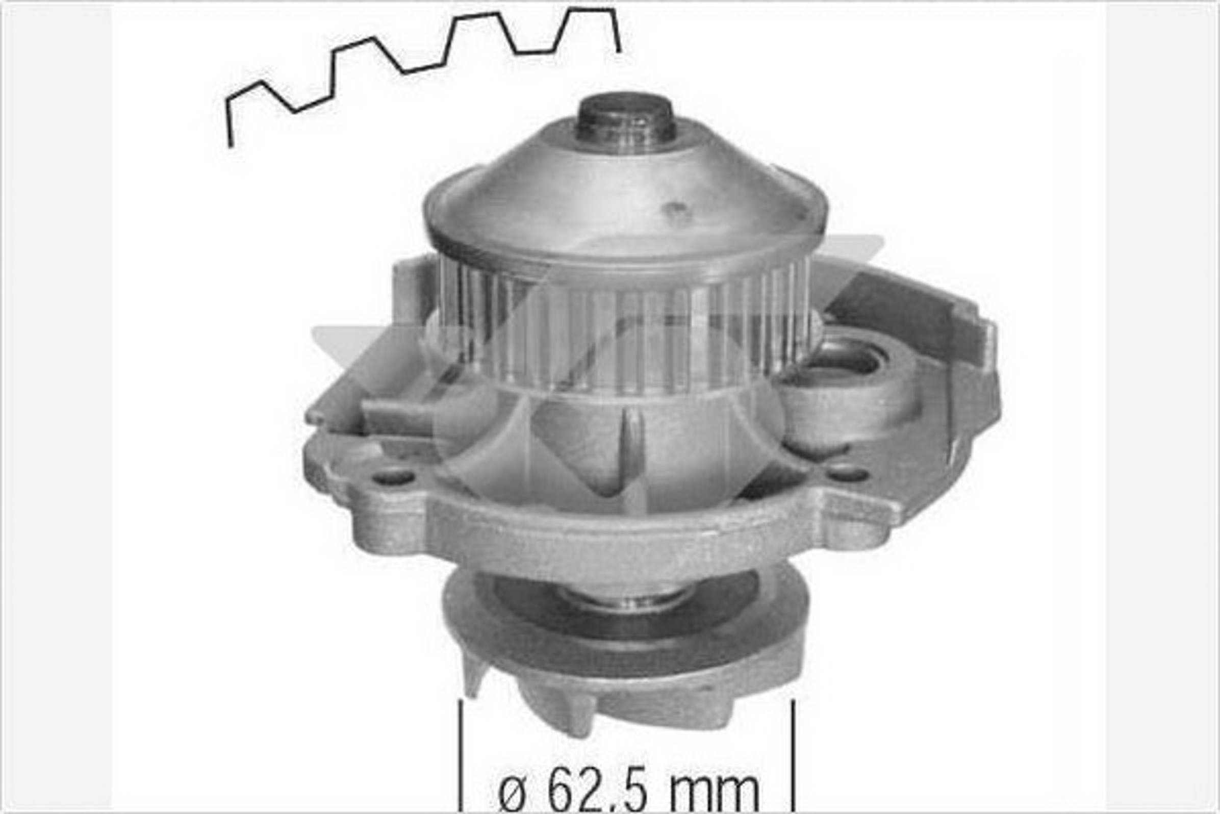  HUTCHINSON WP40