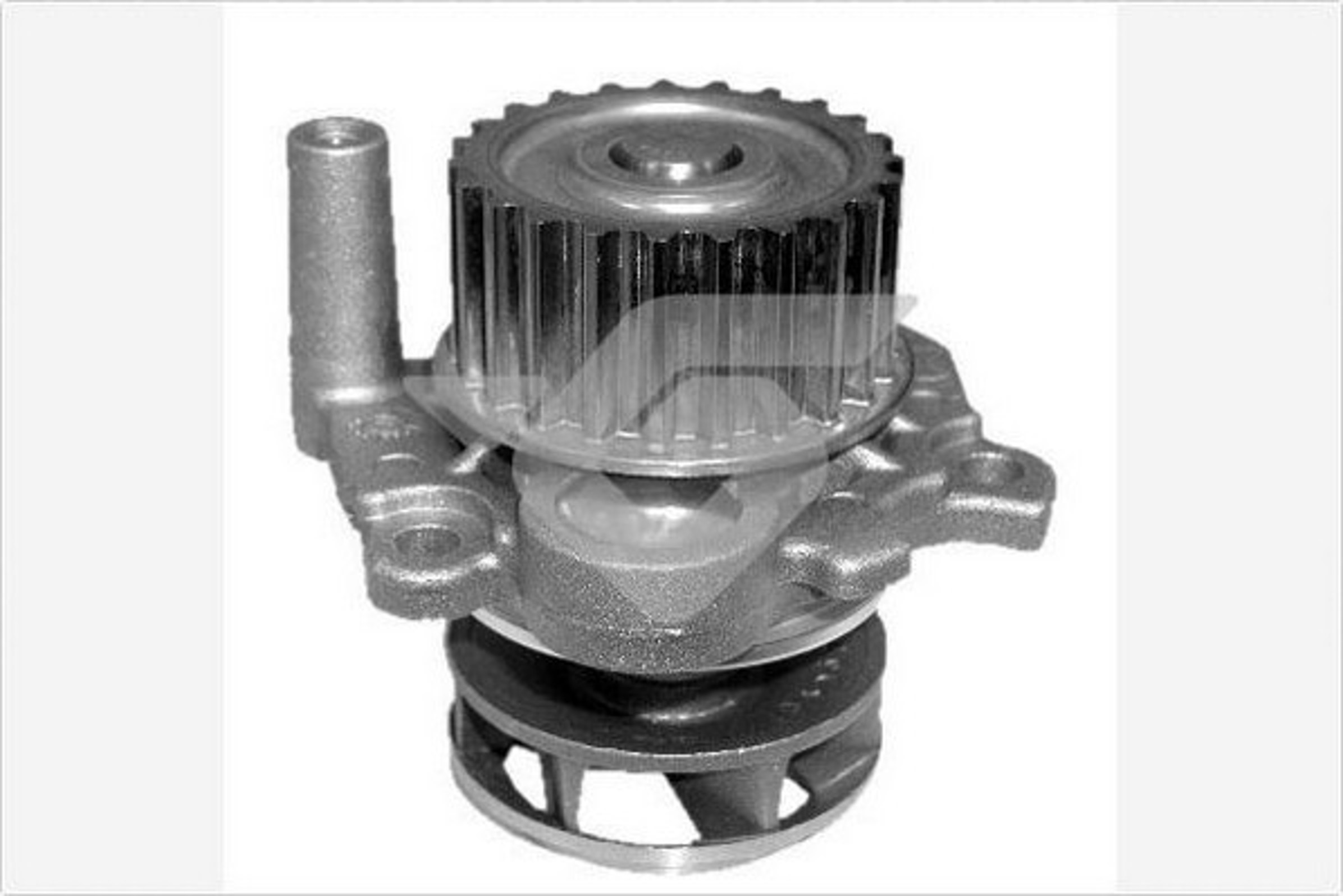  HUTCHINSON WP51