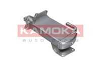 19c068 клапан рециркуляции в сборе с радиатором KAMOKA 19C068