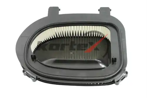 Kortex