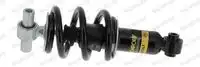 Cb0267 drivers cab shock absorber front l/r fits daf lf lf 45 lf 55 be110c-px-7239 01.01- MONROE CB0267