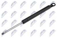 Амортизатор стекла крышки багажника l289mm f250n citroen c5 break 01-08 NTY AE-CT-008