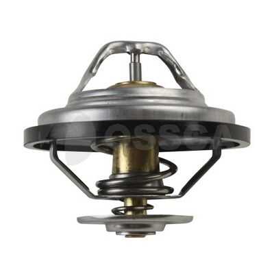 Термостат thermostat80