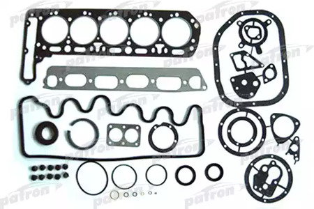 PG1-1002 PATRON Комплект прокладок двигателя