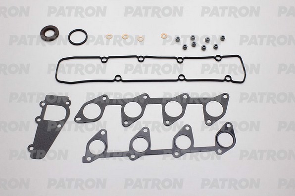 PG1-2011 PATRON Комплект прокладок двигателя