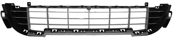 Решетка радиатора PHIRA 207-09113