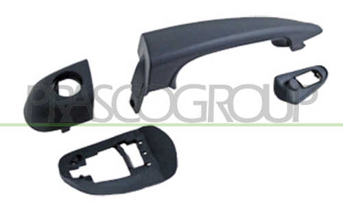 Ручка двери PRASCO BM0208002