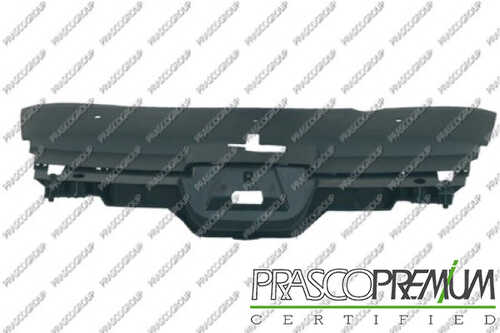 Решетка радиатора PRASCO PG0612001