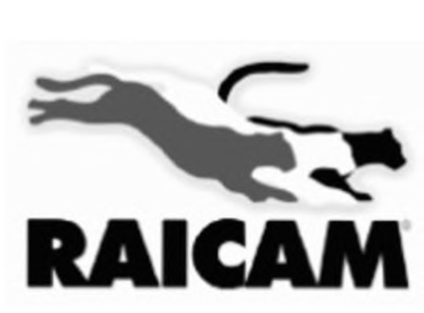 Комплект сцепления RAICAM RC90203