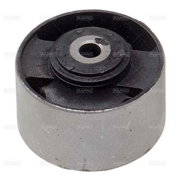 Гаситель подвески двигателя RAPRO R55158