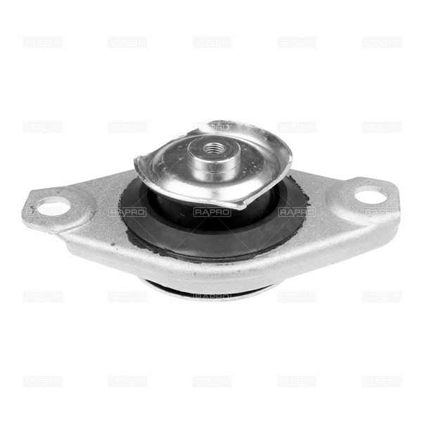 Подвеска двигателя RAPRO R59576/A