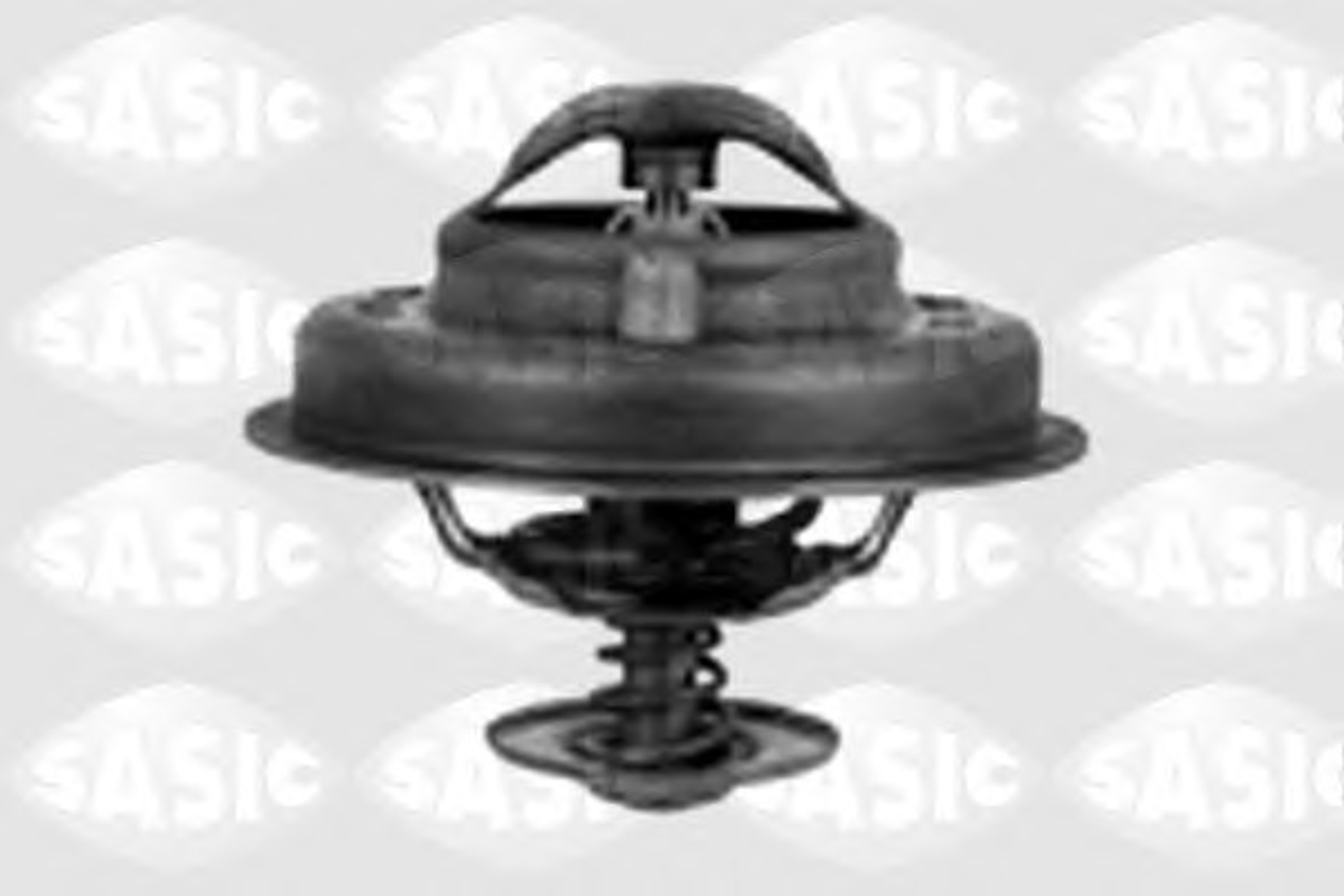 Термостат SASIC 3381181