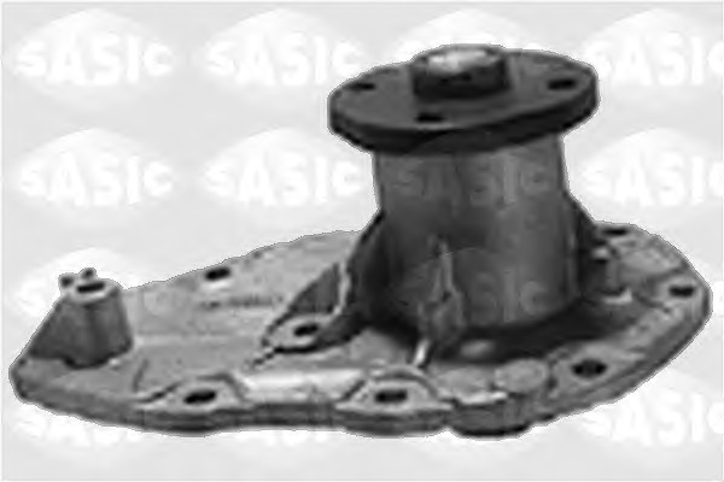 Насос водяной SASIC 4001206