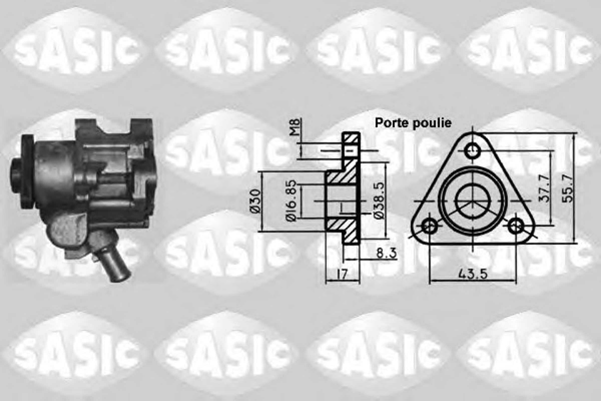 Гидравлический насос рулевое управление SASIC 7076022