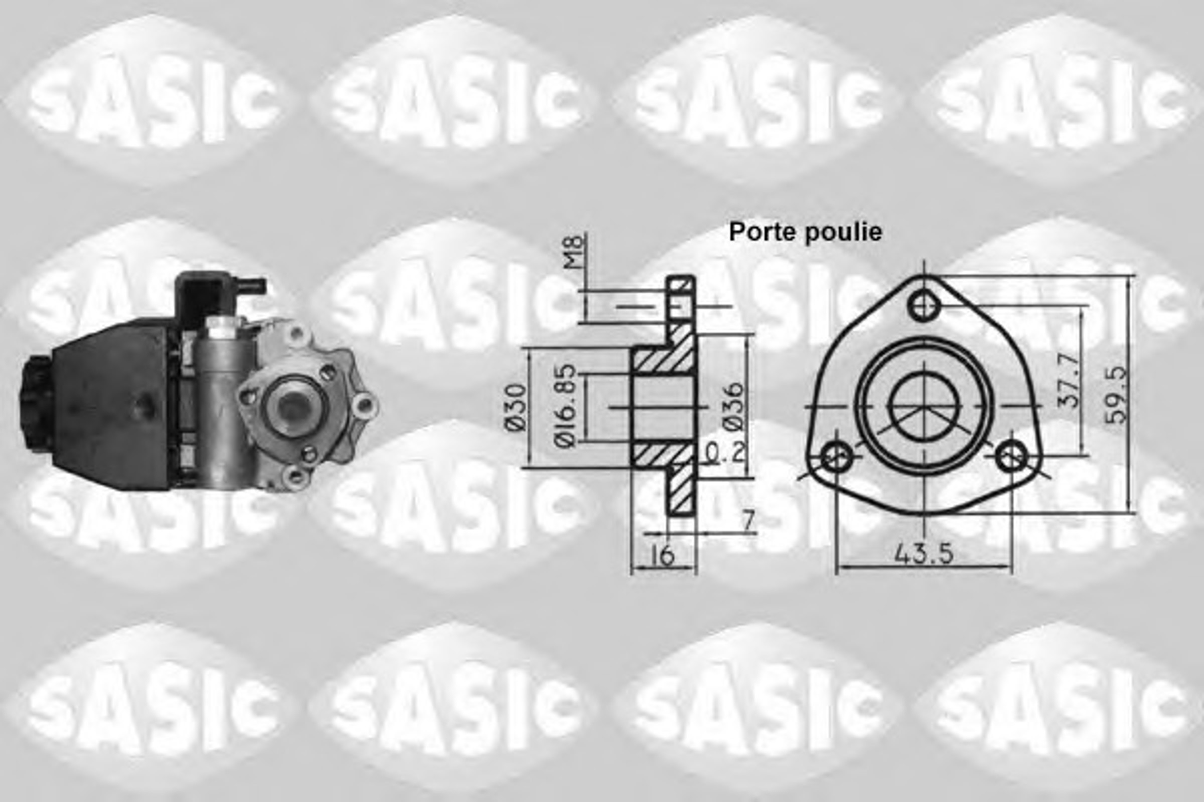 Насос гидроусилителя SASIC 7076032