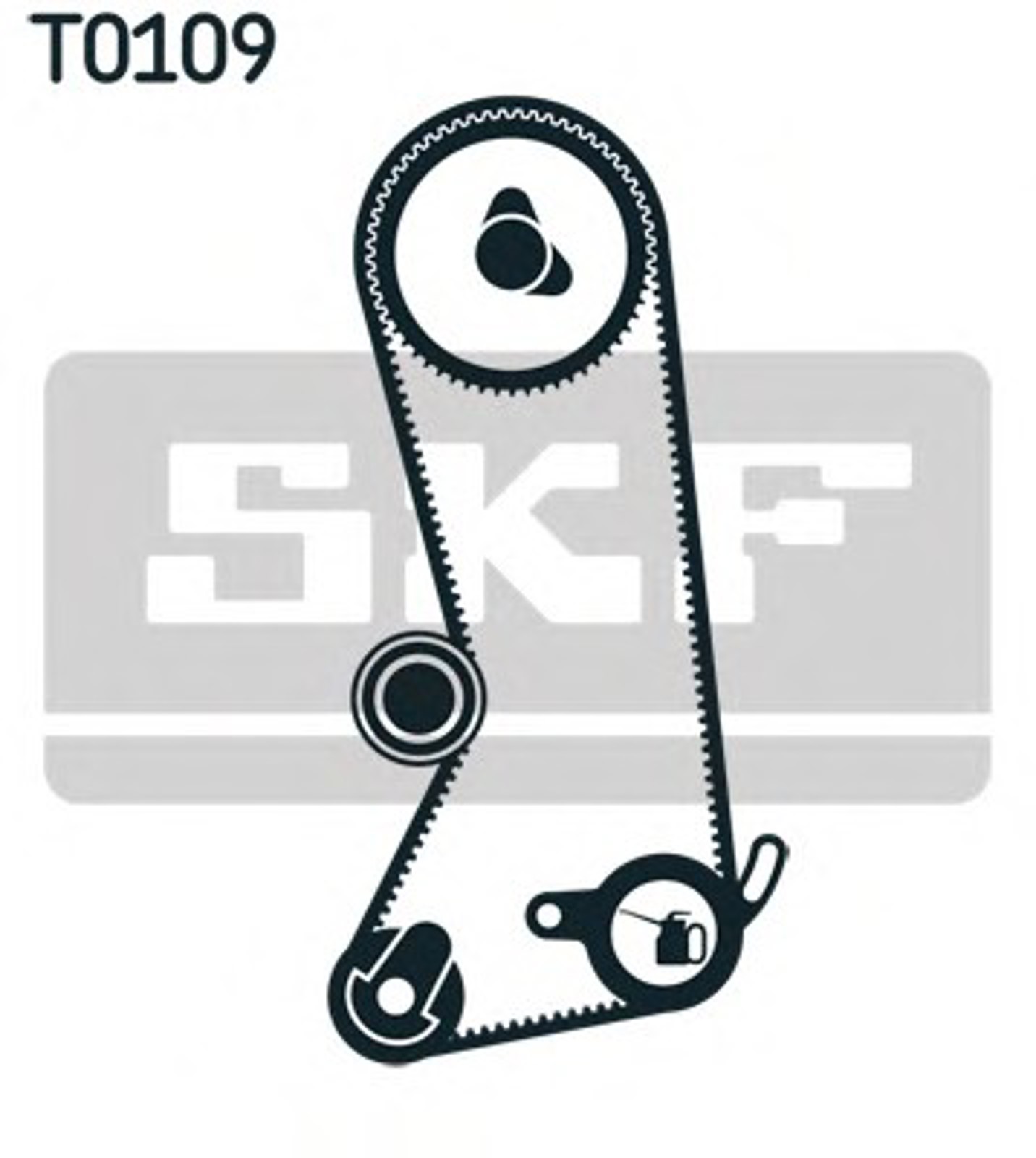 Комплект грм SKF VKMA06301
