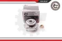 29skv114 комплект подшипника ступицы колеса SKV 29SKV114